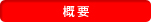 概要